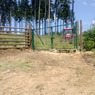 WP_20130709_005.jpg